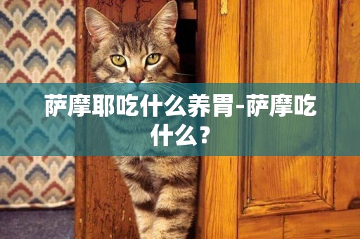 薩摩耶吃什么養胃-薩摩吃什么？