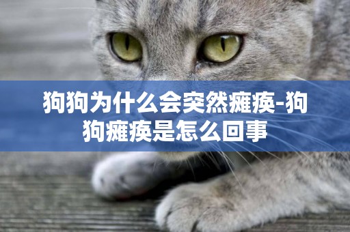 狗狗為什么會突然癱瘓-狗狗癱瘓是怎么回事