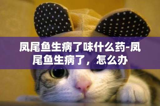 鳳尾魚生病了味什么藥-鳳尾魚生病了，怎么辦