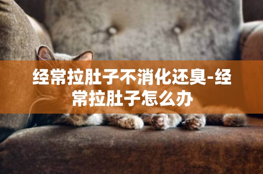 經常拉肚子不消化還臭-經常拉肚子怎么辦