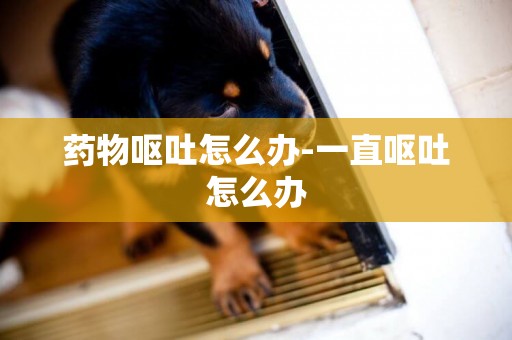 藥物嘔吐怎么辦-一直嘔吐怎么辦