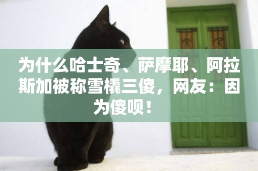 為什么哈士奇、薩摩耶、阿拉斯加被稱雪橇三傻，網友：因為傻唄！ 