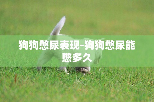 狗狗憋尿表現-狗狗憋尿能憋多久