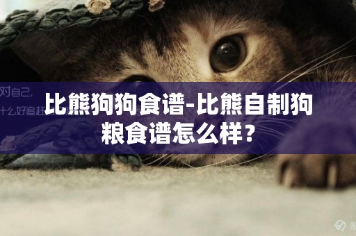 比熊狗狗食譜-比熊自制狗糧食譜怎么樣？