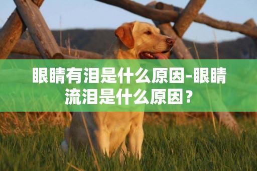 眼睛有淚是什么原因-眼睛流淚是什么原因？