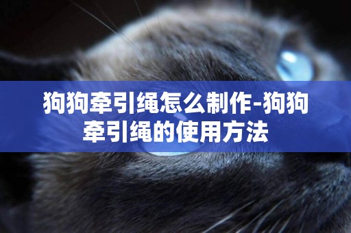 狗狗牽引繩怎么制作-狗狗牽引繩的使用方法