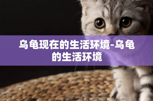 烏龜現在的生活環境-烏龜的生活環境