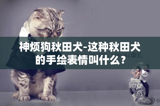 神煩狗秋田犬-這種秋田犬的手繪表情叫什么？