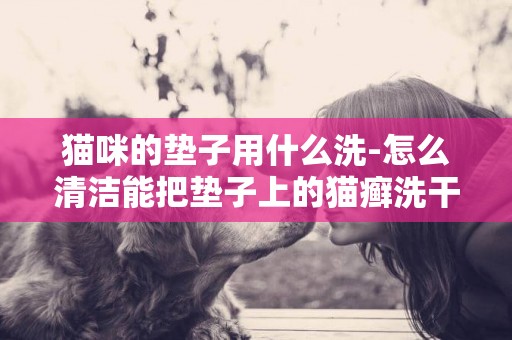 貓咪的墊子用什么洗-怎么清潔能把墊子上的貓癬洗干凈