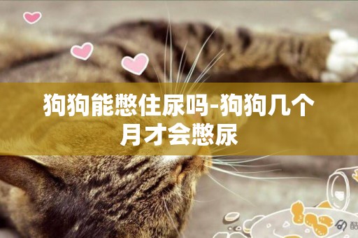 狗狗能憋住尿嗎-狗狗幾個月才會憋尿