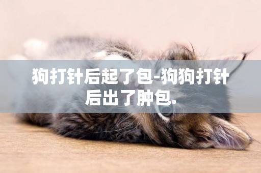 狗打針后起了包-狗狗打針后出了腫包.