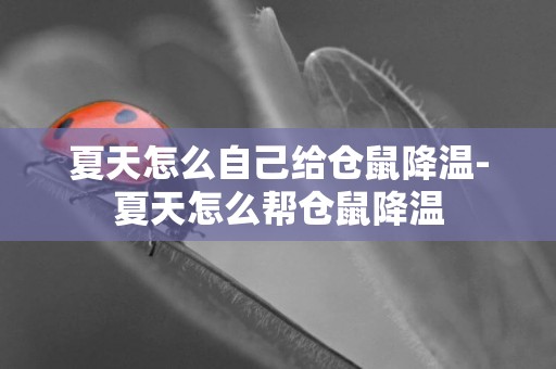 夏天怎么自己給倉鼠降溫-夏天怎么幫倉鼠降溫