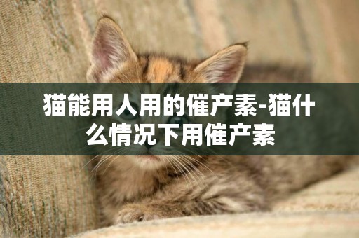 貓能用人用的催產素-貓什么情況下用催產素