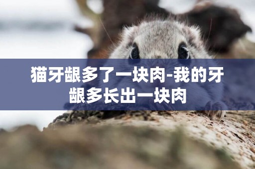 貓牙齦多了一塊肉-我的牙齦多長出一塊肉