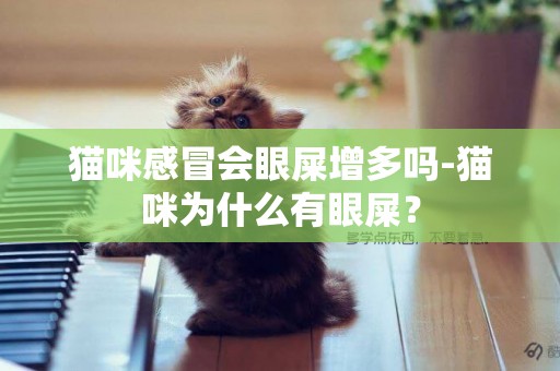 貓咪感冒會眼屎增多嗎-貓咪為什么有眼屎？