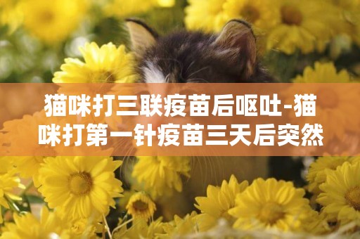 貓咪打三聯疫苗后嘔吐-貓咪打第一針疫苗三天后突然死亡