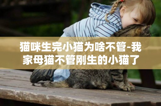貓咪生完小貓為啥不管-我家母貓不管剛生的小貓了
