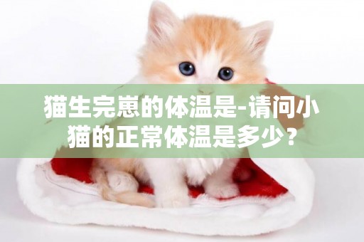 貓生完崽的體溫是-請問小貓的正常體溫是多少？