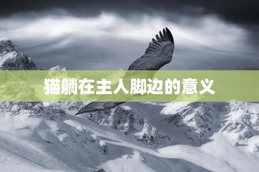 貓躺在主人腳邊的意義