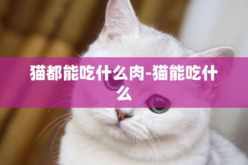 貓都能吃什么肉-貓能吃什么