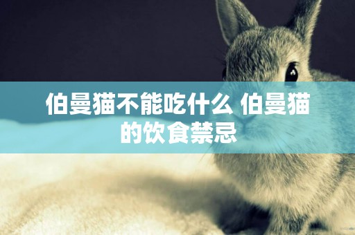 伯曼貓不能吃什么 伯曼貓的飲食禁忌