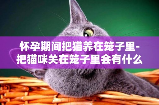 懷孕期間把貓養在籠子里-把貓咪關在籠子里會有什么影響嗎？