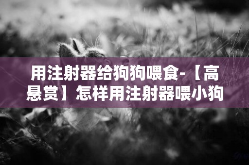用注射器給狗狗喂食-【高懸賞】怎樣用注射器喂小狗藥？？？