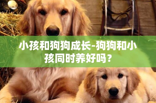 小孩和狗狗成長-狗狗和小孩同時養好嗎？