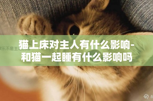 貓上床對主人有什么影響-和貓一起睡有什么影響嗎