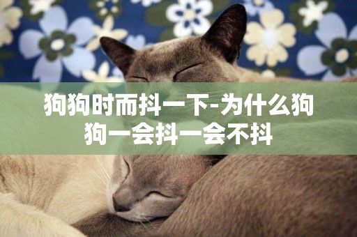 狗狗時而抖一下-為什么狗狗一會抖一會不抖
