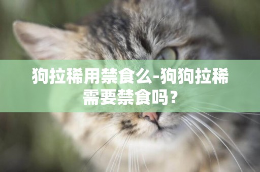 狗拉稀用禁食么-狗狗拉稀需要禁食嗎？
