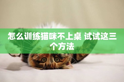 怎么訓練貓咪不上桌 試試這三個方法