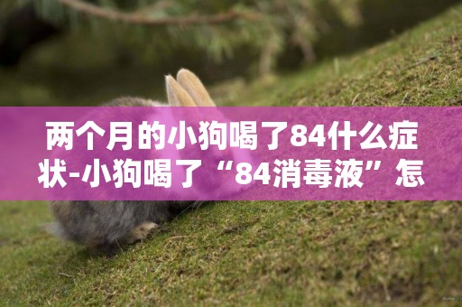 兩個月的小狗喝了84什么癥狀-小狗喝了“84消毒液”怎么辦？
