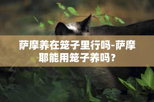 薩摩養在籠子里行嗎-薩摩耶能用籠子養嗎？