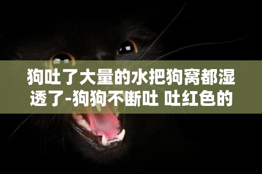 狗吐了大量的水把狗窩都濕透了-狗狗不斷吐 吐紅色的液體 是怎么了