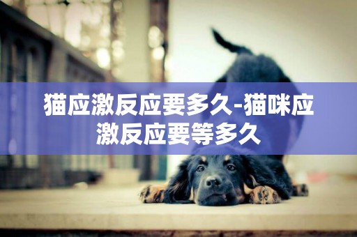 貓應激反應要多久-貓咪應激反應要等多久