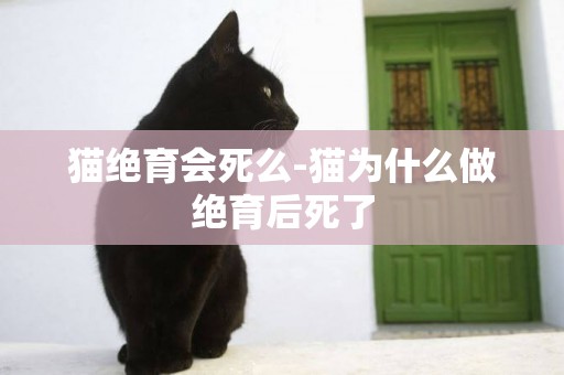 貓絕育會死么-貓為什么做絕育后死了
