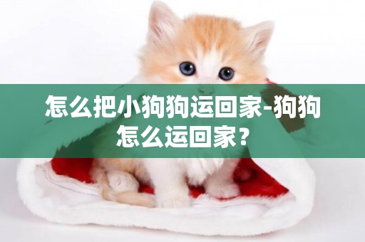 怎么把小狗狗運回家-狗狗怎么運回家？