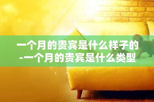 一個月的貴賓是什么樣子的-一個月的貴賓是什么類型