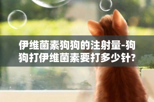 伊維菌素狗狗的注射量-狗狗打伊維菌素要打多少針?