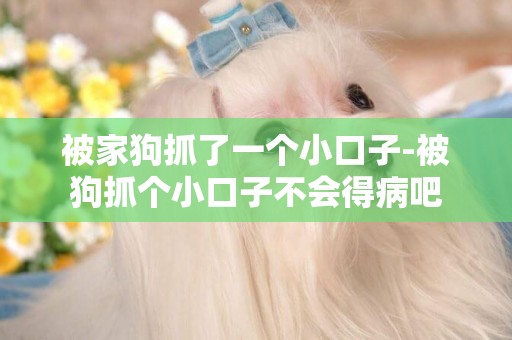 被家狗抓了一個小口子-被狗抓個小口子不會得病吧
