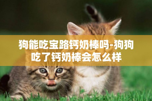 狗能吃寶路鈣奶棒嗎-狗狗吃了鈣奶棒會怎么樣