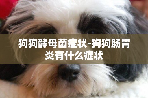 狗狗酵母菌癥狀-狗狗腸胃炎有什么癥狀