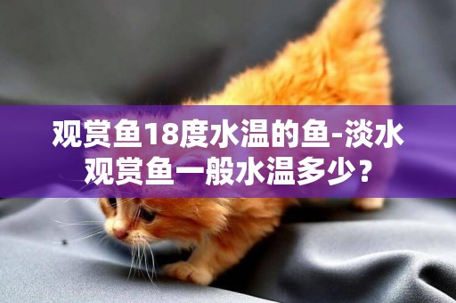 觀賞魚18度水溫的魚-淡水觀賞魚一般水溫多少？