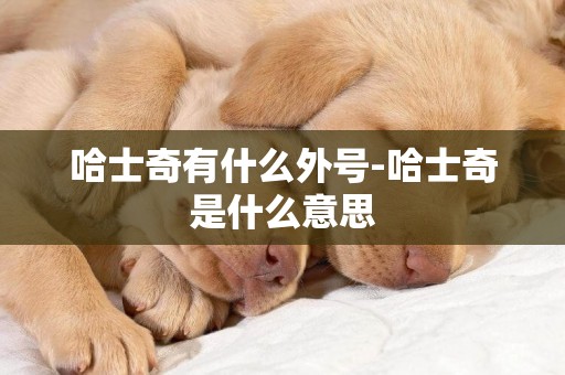 哈士奇有什么外號-哈士奇是什么意思