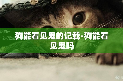 狗能看見鬼的記載-狗能看見鬼嗎