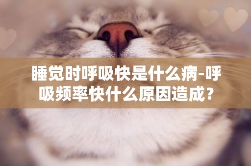 睡覺時呼吸快是什么病-呼吸頻率快什么原因造成？