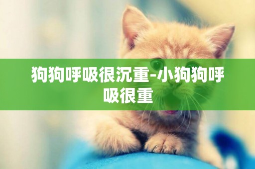 狗狗呼吸很沉重-小狗狗呼吸很重