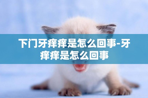 下門牙癢癢是怎么回事-牙癢癢是怎么回事
