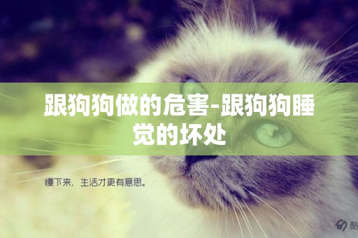 跟狗狗做的危害-跟狗狗睡覺的壞處